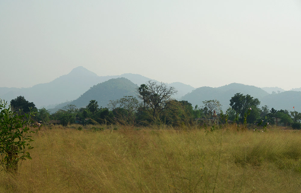 Environment & Tree Planting